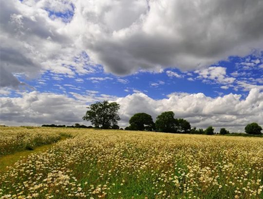 Counselling-in-Bracknell-2